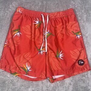 Quicksilver Mens Swim Trunks Volley Shorts‎ Beachy Large Coastal Surfer 5.5"